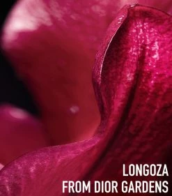 DIOR Capture Totale Age-Defying Serum Routine Gift Set Anti-Ageing Creams 13 DIOR Capture Totale Age-Defying Serum Routine Gift Set Anti-Ageing Creams -Dior Sell Shop dior capture totale age defying serum routine gift set 16512815 31955918 1000