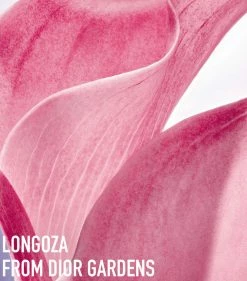 DIOR Capture Totale Firming and Wrinkle-Correcting Cream (50ml) Day Creams 11 DIOR Capture Totale Firming and Wrinkle-Correcting Cream (50ml) Day Creams -Dior Sell Shop dior capture totale firming and wrinkle correcting cream 50ml 16124026 33337503 1000