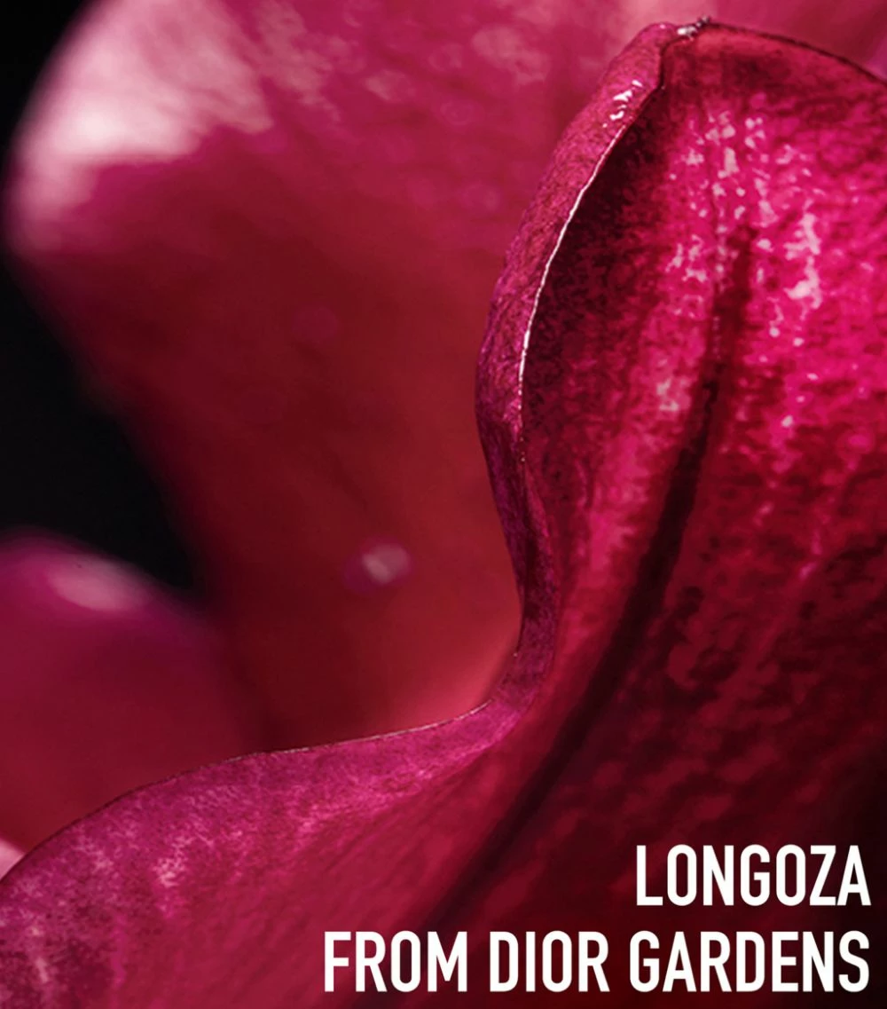 DIOR Capture Totale Super Potent Rich Cream (50ml) Anti-Ageing Creams 4 DIOR Capture Totale Super Potent Rich Cream (50ml) Anti-Ageing Creams - Image 4