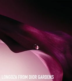 DIOR Capture Totale Total Anti-Aging Skincare Ritual WHITE Skincare Gift Sets 7 DIOR Capture Totale Total Anti-Aging Skincare Ritual WHITE Skincare Gift Sets -Dior Sell Shop dior capture totale total anti aging skincare ritual 17520856 36243950 1000