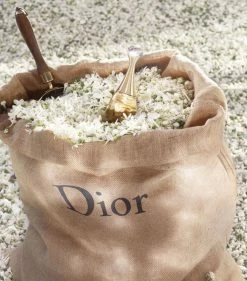 DIOR J’adore Eau de Parfum (30ml) Womens Perfume 13 DIOR J’adore Eau de Parfum (30ml) Womens Perfume -Dior Sell Shop dior jadore eau de parfum 30ml 16133115 36288949 1000