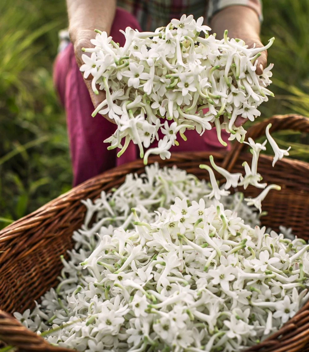 DIOR J'adore Infinissime Eau de Parfum (30ml) Womens Perfume 6 DIOR J'adore Infinissime Eau de Parfum (30ml) Womens Perfume - Image 6