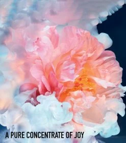 Joy by Dior Eau de Parfum Intense Spray (50ml) Womens Perfume -Dior Sell Shop dior joy by dior eau de parfum intense spray 50ml 16127367 34987866 1000