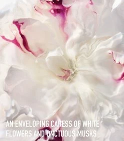 DIOR Joy Eau de Parfum (90ml) Womens Perfume -Dior Sell Shop dior joy eau de parfum 90ml 16124065 34987891 1000