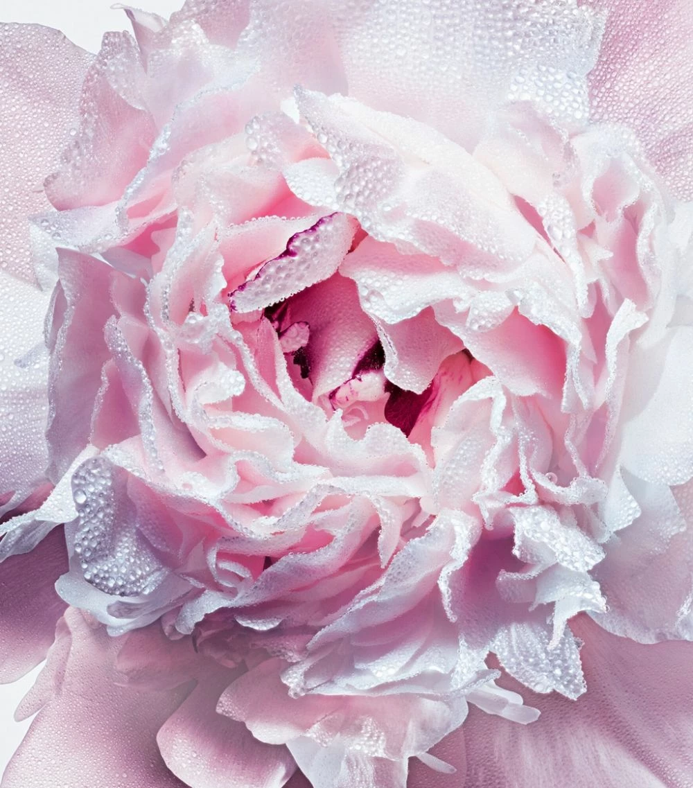 Miss Dior Deodorant Spray Deodorants 2 Miss Dior Deodorant Spray Deodorants - Image 2