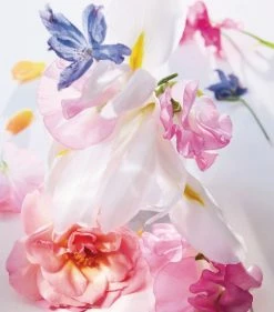 Miss Dior Eau de Parfum (100ml) Womens Perfume 8 Miss Dior Eau de Parfum (100ml) Womens Perfume -Dior Sell Shop dior miss dior eau de parfum 100ml 17319898 35500506 1000