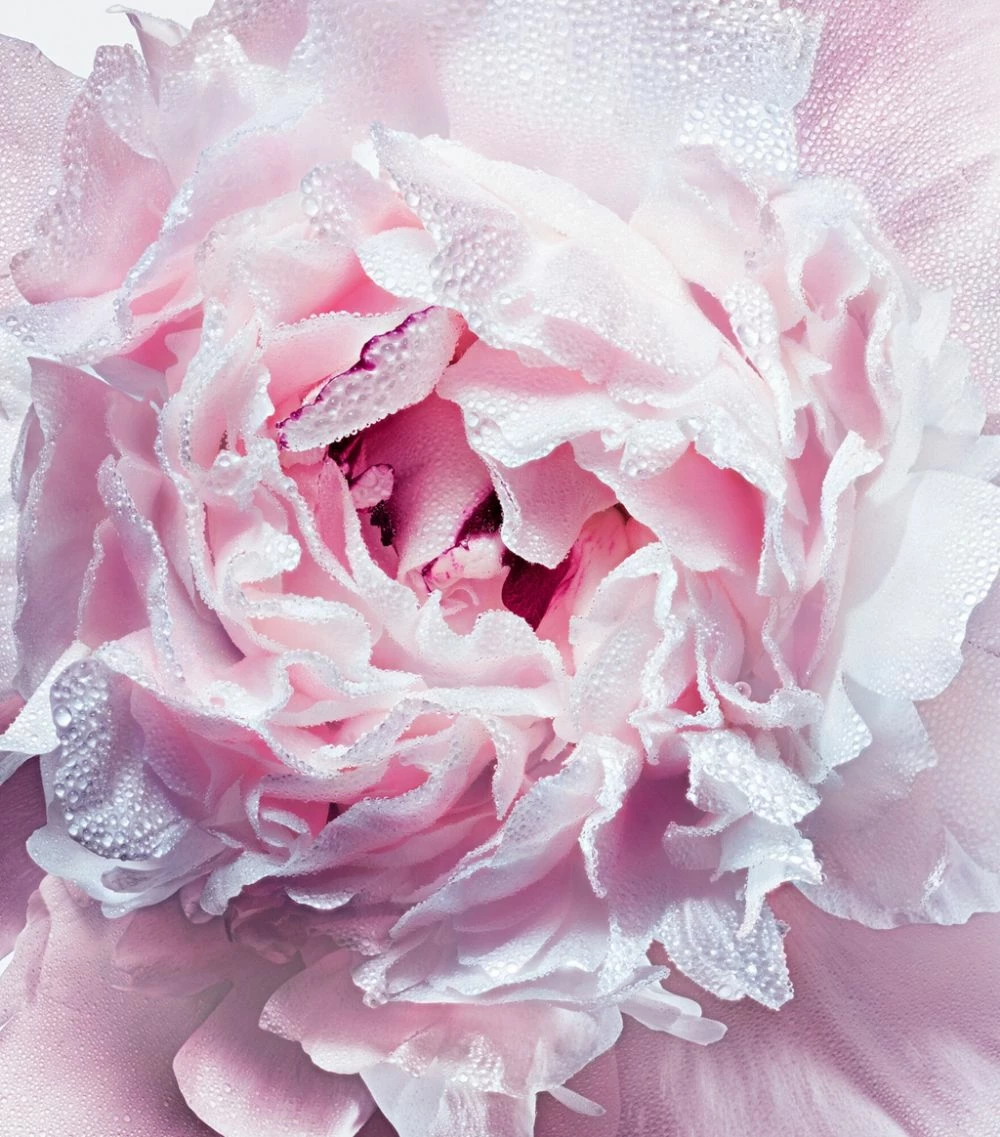 Miss Dior Rose Purifying Hand Gel (100ml) Hand Wash 2 Miss Dior Rose Purifying Hand Gel (100ml) Hand Wash - Image 2