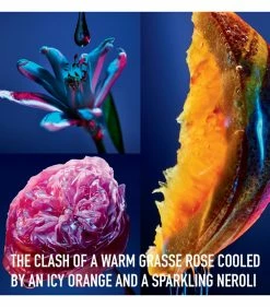 DIOR Poison Girl Eau de Toilette (100ml) Womens Perfume 7 DIOR Poison Girl Eau de Toilette (100ml) Womens Perfume -Dior Sell Shop dior poison girl eau de toilette 100ml 16138319 30342041 1000