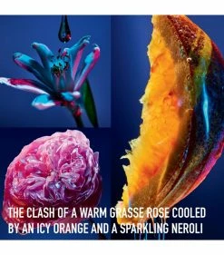 DIOR Poison Girl Eau de Toilette (30ml) Womens Perfume 7 DIOR Poison Girl Eau de Toilette (30ml) Womens Perfume -Dior Sell Shop dior poison girl eau de toilette 30ml 16138321 30339661 1000