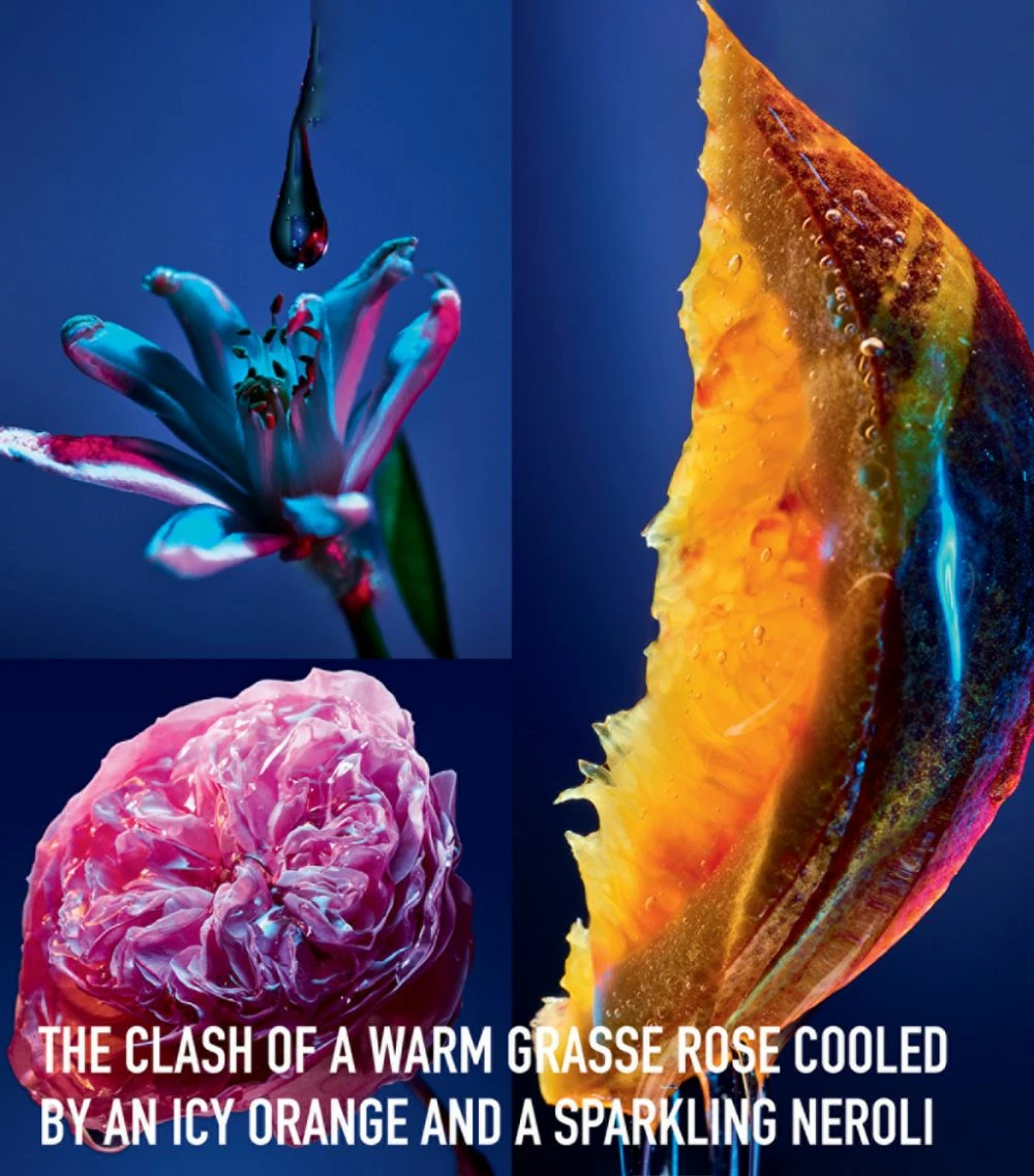 DIOR Poison Girl Eau de Toilette (50 ml) Womens Perfume 3 DIOR Poison Girl Eau de Toilette (50 ml) Womens Perfume - Image 3