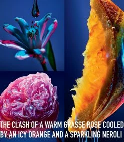 DIOR Poison Girl Roller-Pearl Eau de Toilette (20ml) Womens Perfume 9 DIOR Poison Girl Roller-Pearl Eau de Toilette (20ml) Womens Perfume -Dior Sell Shop dior poison girl roller pearl eau de toilette 20ml 16133131 30321033 1000