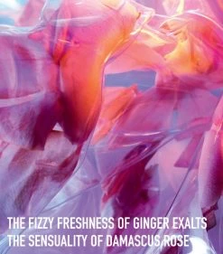 DIOR Poison Girl Unexpected Eau de Toilette (50 ml) Womens Perfume 7 DIOR Poison Girl Unexpected Eau de Toilette (50 ml) Womens Perfume -Dior Sell Shop dior poison girl unexpected eau de toilette 50 ml 16133134 31867499 1000