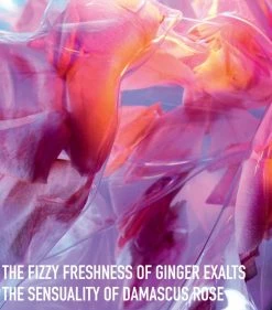 DIOR Poison Girl Unexpected Roller-Pearl Eau de Toilette (20ml) Womens Perfume 9 DIOR Poison Girl Unexpected Roller-Pearl Eau de Toilette (20ml) Womens Perfume -Dior Sell Shop dior poison girl unexpected roller pearl eau de toilette 20ml 16132363 30321084 1000